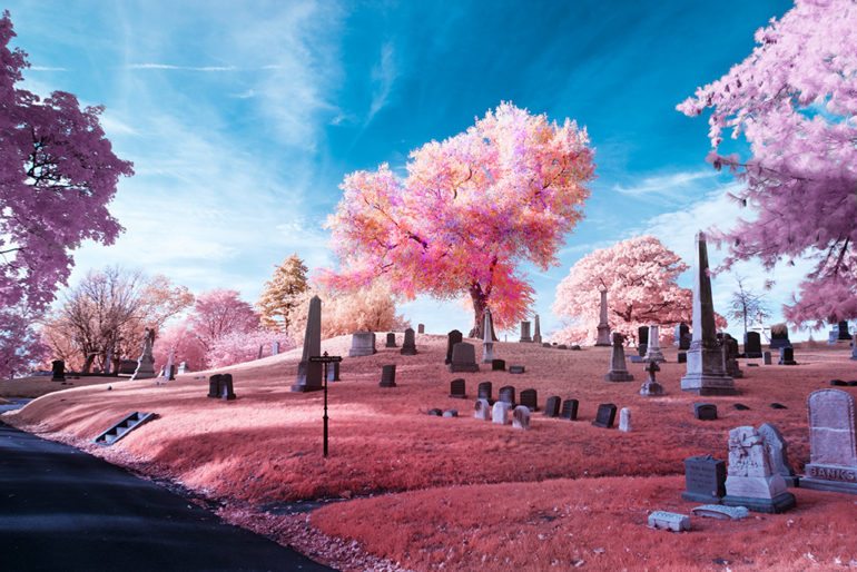 Teknik Infrared Fotografi