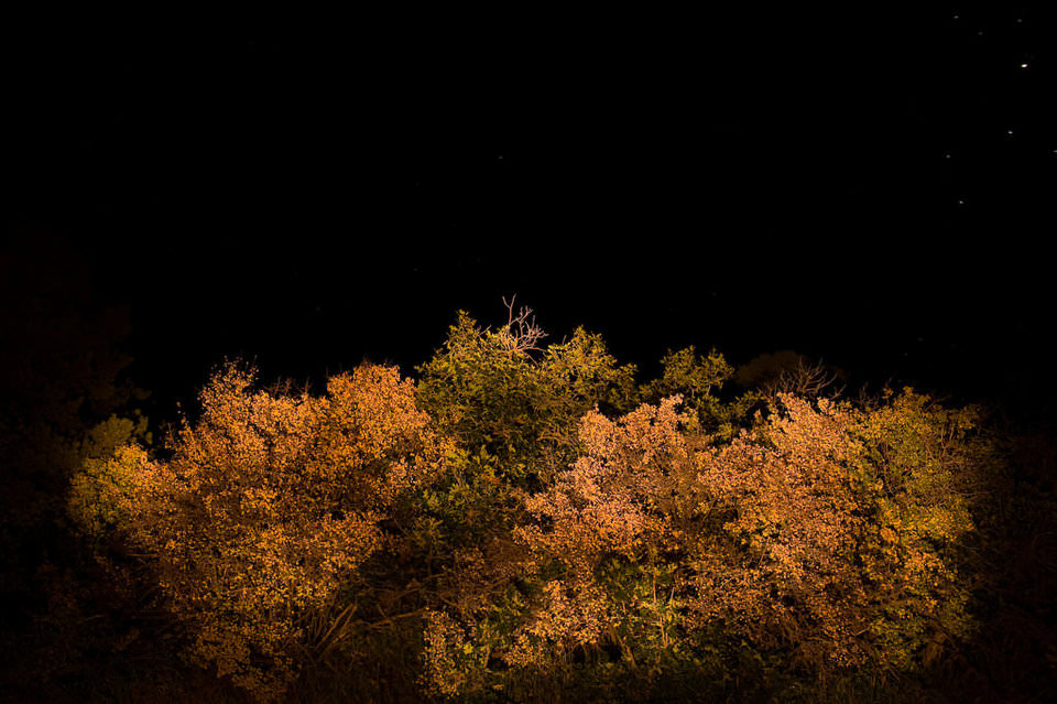 Low Light Photography